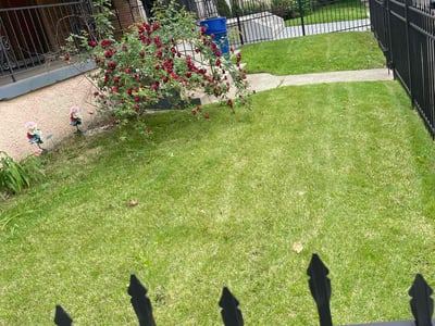 Lawn Care service in Gibsonia, 15044
