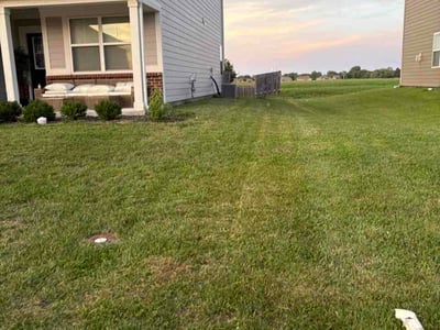Lawn Care service in Brownsburg, 46112