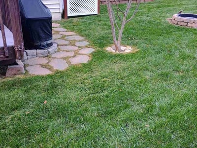 Lawn Care service in Downingtown, 19335