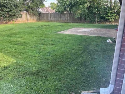 Lawn Care service in Olive Branch, 38654