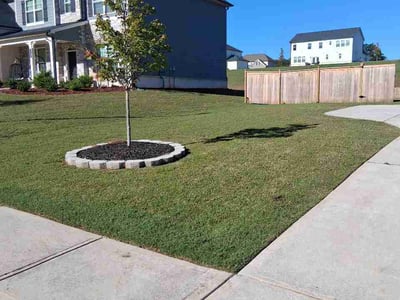 Lawn Care service in Canton, 30114