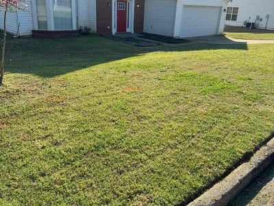 Lawn Care service in Fallbrook, 92028