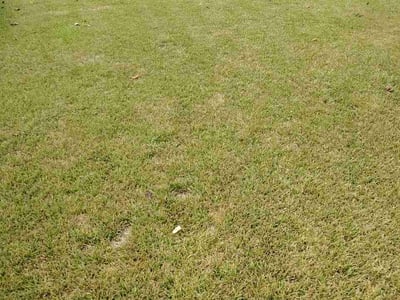 Lawn Care service in Ridgewood, 07450