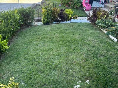 Lawn Care service in Aston, 19014