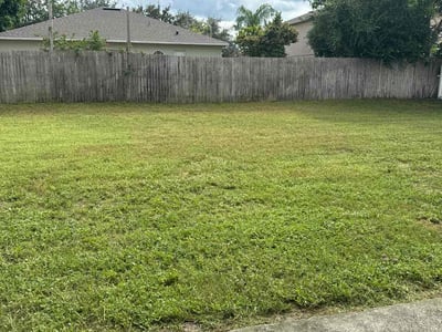 Lawn Care service in Granada Hills, 91344