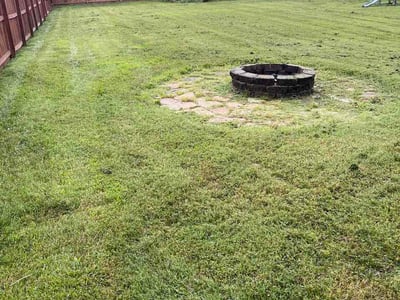 Lawn Care service in Corydon, 47112