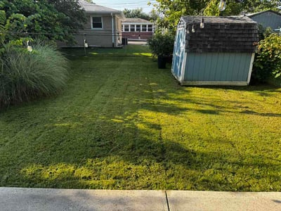 Lawn Care service in Beech Grove, 46107