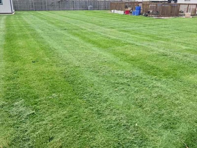 Lawn Care service in Goshen, 46526