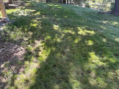 Lawn Care service in Mckeesport, 15132