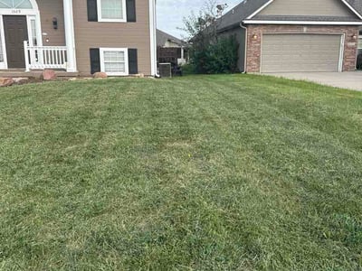 Lawn Care service in Fort Lee, 07024