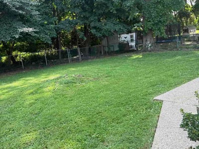Lawn Care service in Trenton, 08608