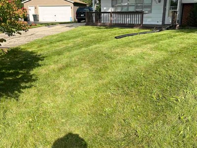 Lawn Care service in Gurnee, 60031