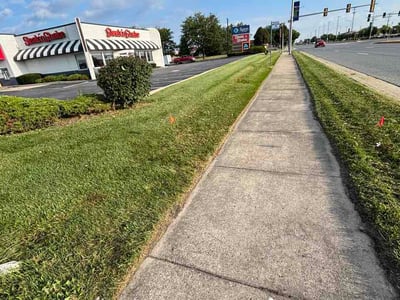 Lawn Care service in Tinley Park, 60477