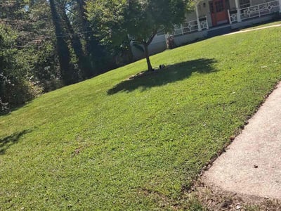 Lawn Care service in Mableton, 30126