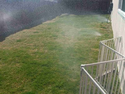 Lawn Care service in Las Vegas, 89101