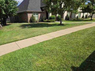 Lawn Care service in Tyler, 75702