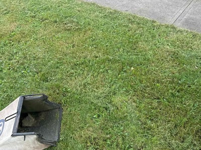 Lawn Care service in Utica, 13501