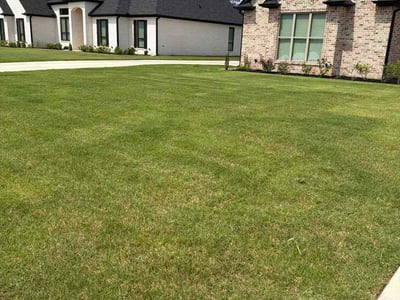 Lawn Care service in Tyler, 75702
