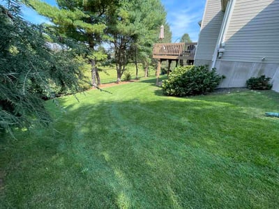 Lawn Care service in Lehigh Valley, 18103
