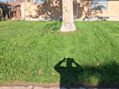 Lawn Care service in Westminster, 92683