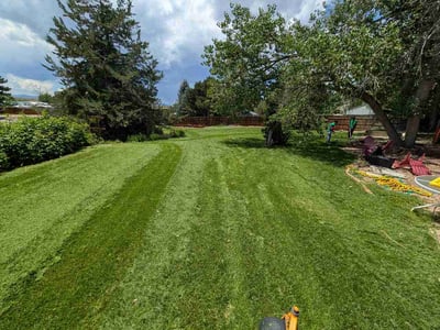 Lawn Care service in Westminster, 92683
