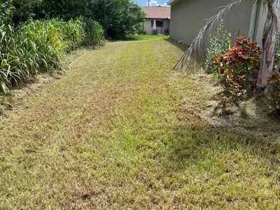 Lawn Care service in Moreno Valley, 92557