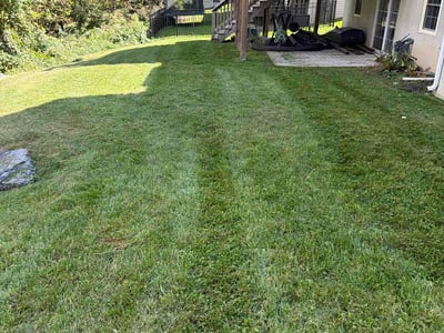 Lawn Care service in Williamstown, 17098