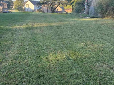 Lawn Care service in Gardner, 66030