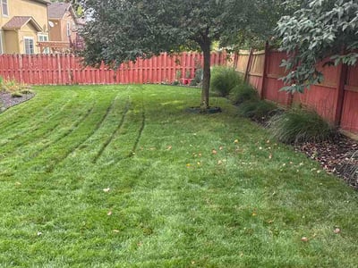 Lawn Care service in Gardner, 66030