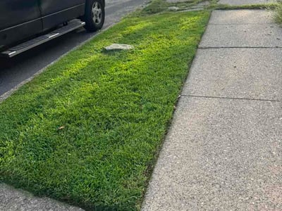 Lawn Care service in Havertown, 19083