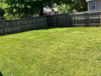 Lawn Care service in Lawrenceville, 30046