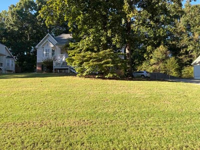 Lawn Care service in Bakersfield, 93301