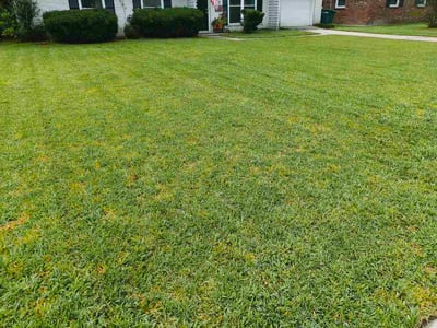 Lawn Care service in Dana Point, 92629