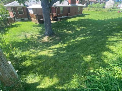 Lawn Care service in Saint Peters, 63376