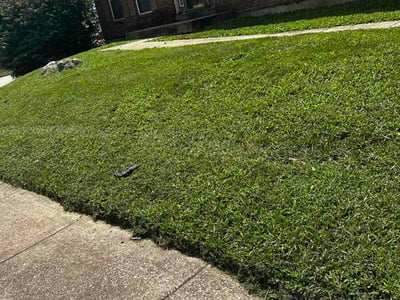 Lawn Care service in Saint Peters, 63376