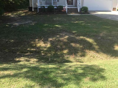 Lawn Care service in Nassau County, 11566