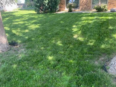 Lawn Care service in Granite City, 65401