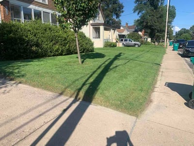 Lawn Care service in Antioch, 60002