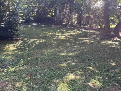 Lawn Care service in Decatur, 30030