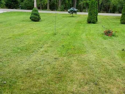 Lawn Care service in Hightstown, 08520