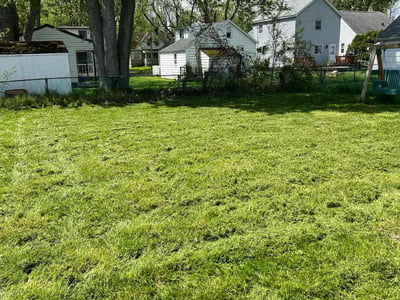 Lawn Care service in North Tonawanda, 14120