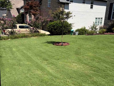 Lawn Care service in Cartersville, 30120