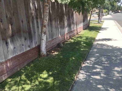 Lawn Care service in Modesto, 95354