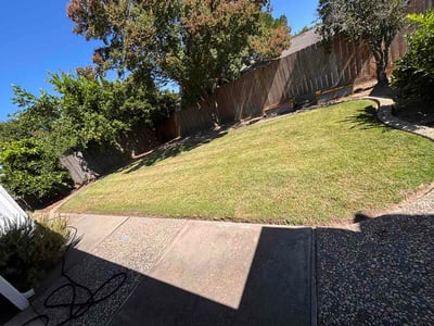Lawn Care service in Modesto, 95354