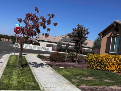 Lawn Care service in Modesto, 95354