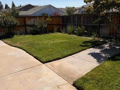 Lawn Care service in Modesto, 95354