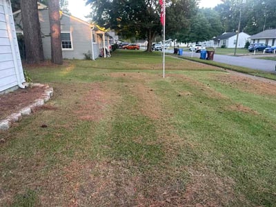 Lawn Care service in Cave Creek, 85331
