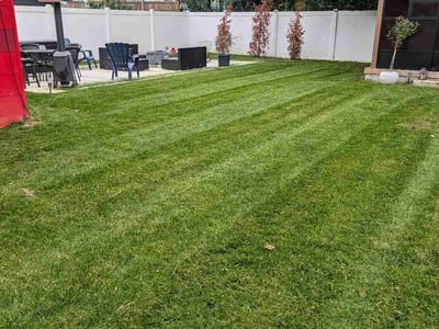 Lawn Care service in Parsippany, 07054