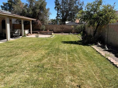 Lawn Care service in Chandler, 85225