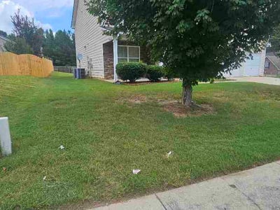 Lawn Care service in College Park, 30337